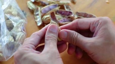 Haşlanmış fıstıkla el ele tutuşmak Tayland 'da sağlıklı yiyecek fıstık mısırı kaynatmak .