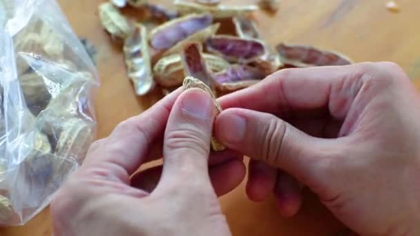 Mão segurando ferveu amendoins comida saudável tailandesa fervura de milho amendoim . — Vídeo de Stock