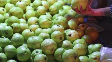 Mağaza satışı: Gece Meyvesi Marketi Lamphun Tayland 'daki pazarda taze guava meyve yığını..