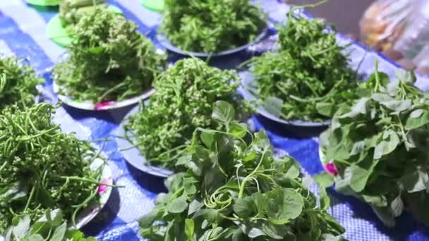 Negozio che vende spinaci di Ceylon, spinaci dell'India orientale, spinaci indiani, belladonna malabarese, al mercato della frutta notturna Lamphun Thailandia . — Video Stock