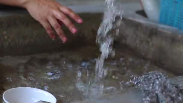 Lavar as mãos feminino dished Full HD — Vídeo de Stock
