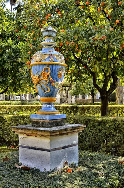 Parc Marie Louise Séville Espagne Beaucoup Orangers Mandariniers Avec Des — Photo