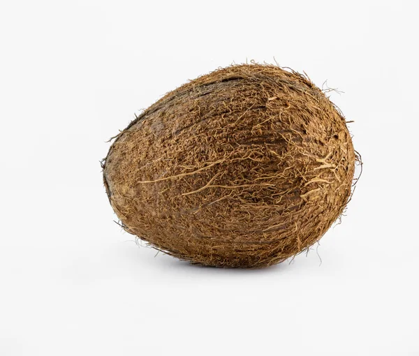 Isolated Coconut White Photo Closeup Photographed Macro Royalty Free Stock Images