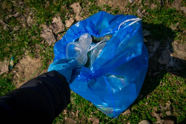garbage in the nature, cleaning the environment in the spring on the river from the rubbish in disposable latex  mittens in to blue large plastic bag