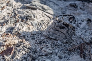 Kömür. Izgara kül kışın dağlar gibi barbekü ızgara için ahşap ember hazırlanıyor gibi görünüyor. Kül ve közlerden ateş. Arka plan. Yanan kömür. Closeup.