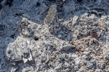 Kömür. Izgara kül kışın dağlar gibi barbekü ızgara için ahşap ember hazırlanıyor gibi görünüyor. Kül ve közlerden ateş. Arka plan. Yanan kömür. Closeup.