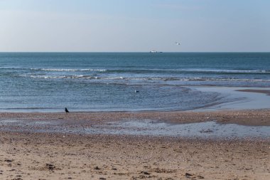Kuzey Denizi 'nin dalgaları ve Hollanda' daki Lahey 'de açık gökyüzü