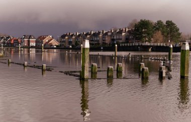 Hollanda 'da bir köyün arka planında suyun altından sarkan tahta direkler.