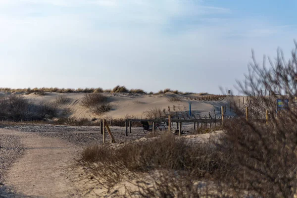 Colline Sabbia Sul Mare Del Nord Nei Paesi Bassi All — Foto Stock