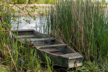 Yazın, güneşli havada, sazlıklarda, gölün kıyısında ahşap bir tekne.