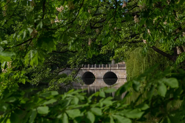 Мост Отражается Воде Через Озеро Royal Bad Park Является Крупнейшим — стоковое фото