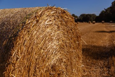 Tarımsal alan arka planında saman balyaları