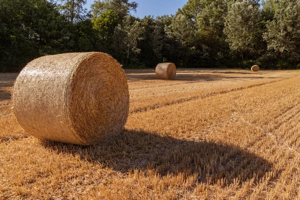 Strobalen Een Landbouwveldachtergrond — Stockfoto