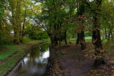 Sonbaharda uzun ağaçlı su kanallı park