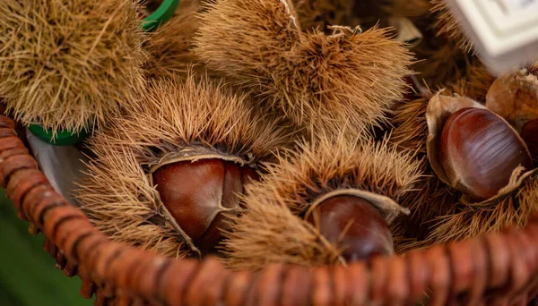 Castanhas Doces Com Casca Fechar — Fotografia de Stock