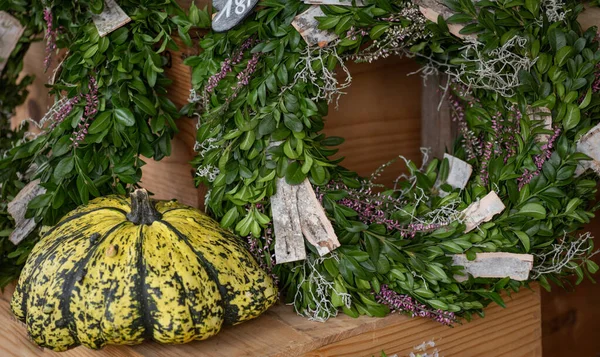 Süslü balkabağı ve yeşil yapraklı çelenk.