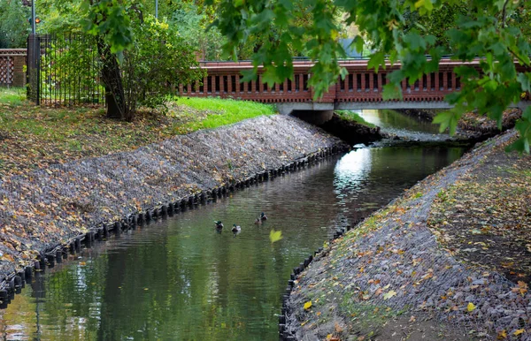 Canal Con Puente Ladrillo Agua Parque — Foto de Stock