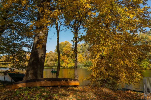 Hermoso Paisaje Otoño Barco Bajo Árbol Una Vista Del Lago — Foto de Stock