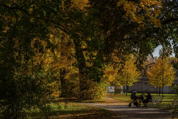 Hermoso Parque Otoño Con Árboles Con Hojas Amarillas Senderos Para — Foto de Stock