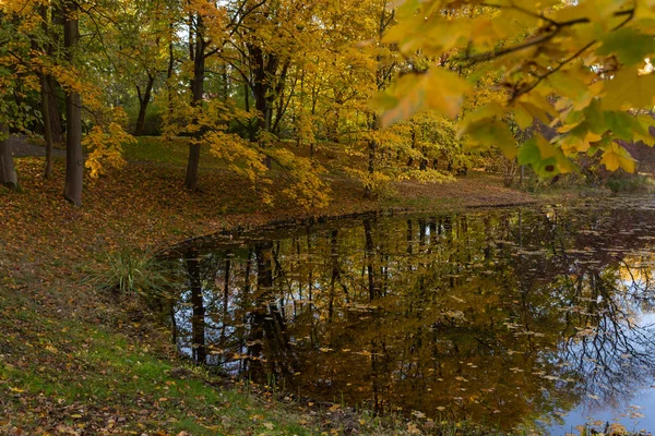 lake in the middle of autumn park trees reflected in the water