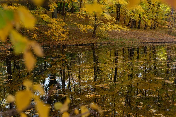 lake in the middle of autumn park trees reflected in the water