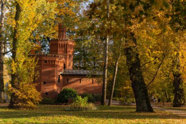 Wilanow Polonya sonbahar parkındaki şapel.