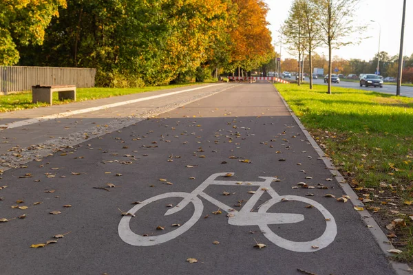Велосипедний Дорожній Знак Дорозі Восени — стокове фото