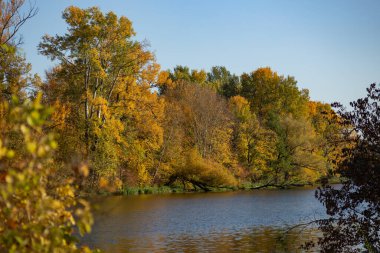 Sonbahar manzarası, sonbahar altın yaprakları ve mavi gökyüzü suya yansıyan ağaçlar, Vistula Nehri 'nin bir kolu olan Wilanow Park Polonya