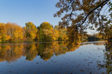 Sonbahar manzarası, sonbahar altın yaprakları ve mavi gökyüzü suya yansıyan ağaçlar, Vistula Nehri 'nin bir kolu olan Wilanow Park Polonya
