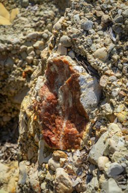Taş ve çakıl taşlı Rocky Sahili. Doğal arkaplan.