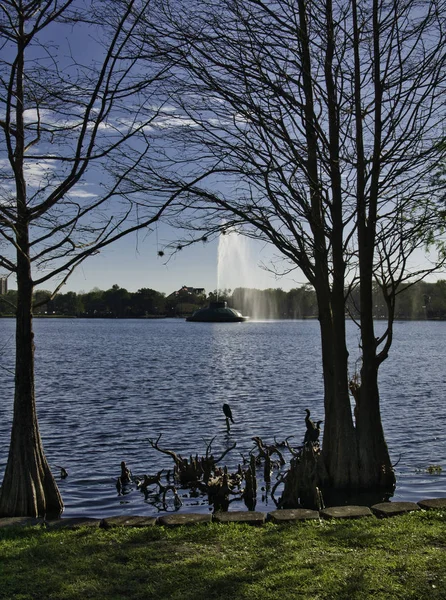 Fuente Medio Del Lago Ciudad —  Fotos de Stock