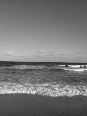 Plaj Günü hiç sağlığınız için yapabileceğiniz en rahatlatıcı şeydir. 