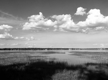 Parkın ortasında Muhteşem Göl, ağaçlar, kuşlar ve çok su. 