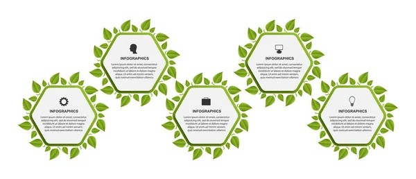 Infografiken mit Sechsecken. Bänder mit grünen Blättern. Infografiken für Unternehmenspräsentationen oder Informationsbanner. — Stockvektor