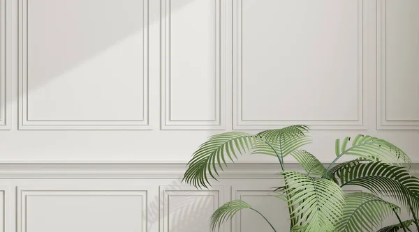 Yeşil Bitki Klasik Tasarım Ile Beyaz Boş Duvar Üzerinde Güneş — Stok fotoğraf