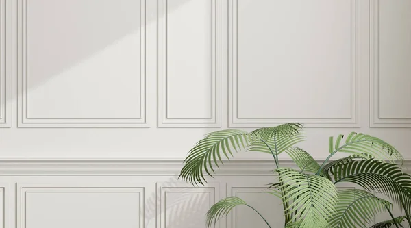 View Sun Light Cast Shadow White Empty Wall Green Plant — Stock Photo, Image