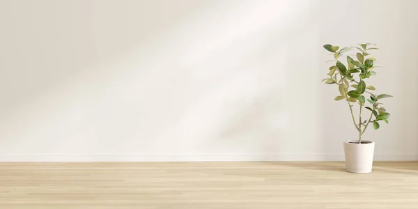 Üç boyutlu boş oda, ahşap zemin ve lamine zeminde bitki vazosu..