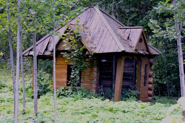 Yeşil bir ormanda Shed