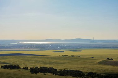 Gün batımı altında sarı alanlar Sharypovo bölgesi Krasnoyarsk Bölgesi