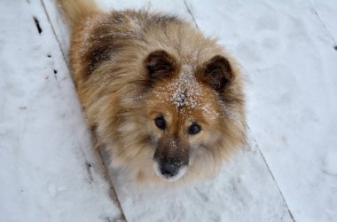 Dağ karatag bulutlar altında