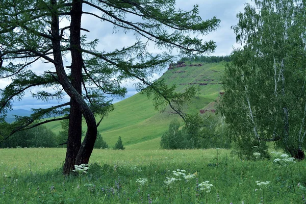 Landscape mountain Karatag — Stock Photo, Image