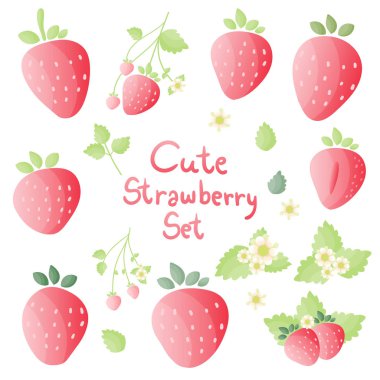 Farklı şekillerde çilek seti, yumuşak ve tatlı renk, yaprakları ve çiçekleri. Vektör çizimi. 