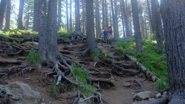 Rodinná turistika v přírodě. Procházky s batohy v lese. — Stock video