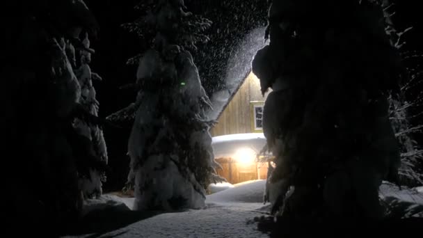 Гірський будинок і ялина в снігу вночі в лісі. Йде сніг. — стокове відео