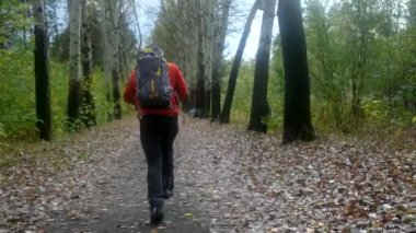 Genç adam gökyüzüne sonbahar yaprakları atıyor.