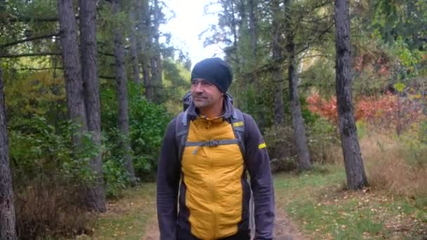 Wędrowiec z plecakiem spacerujący po lesie. trekking jesienny — Wideo stockowe