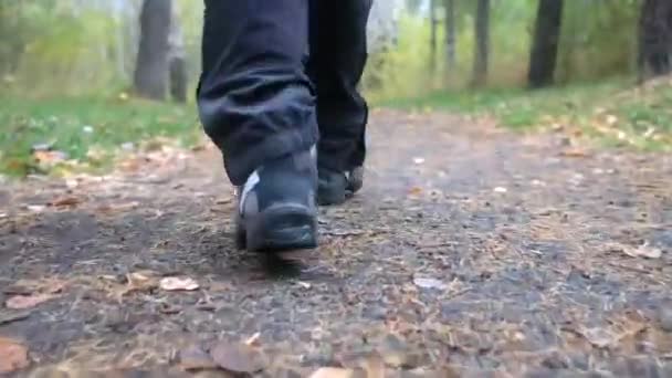 秋の葉の上を歩くメンズシューズ — ストック動画