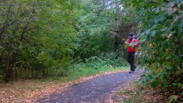 バックパックの森の中を歩くとハイカー。秋のトレッキング — ストック動画