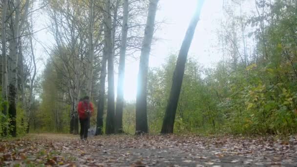 Fiatalember őszi leveleket dobál a levegőbe. — Stock videók