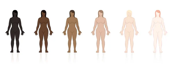 Cilt Türleri Kahverengi Siyah Farklı Etnik Renklerine Altı Çıplak Kadın — Stok Vektör